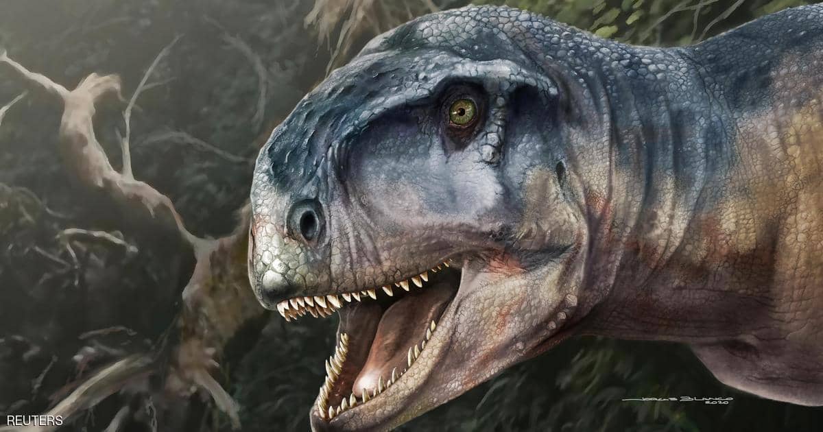 العثور على جمجمة "الديناصور المخيف".. عاش قبل 85 مليون سنة