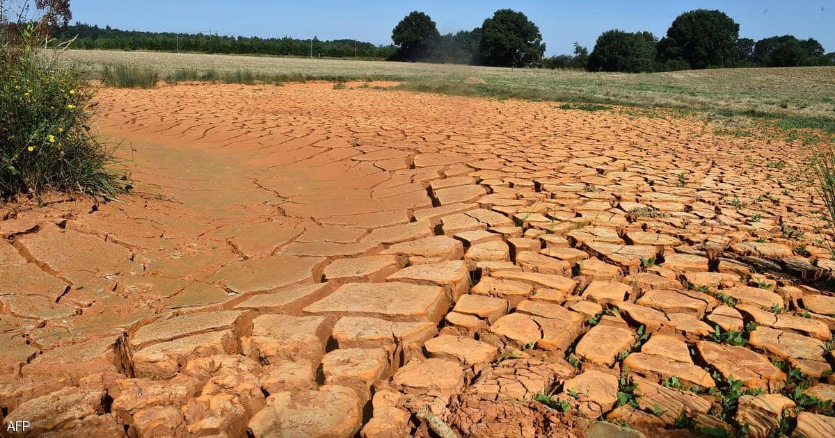 الجفاف يكبد أوروبا خسائر "زراعية" كبيرة