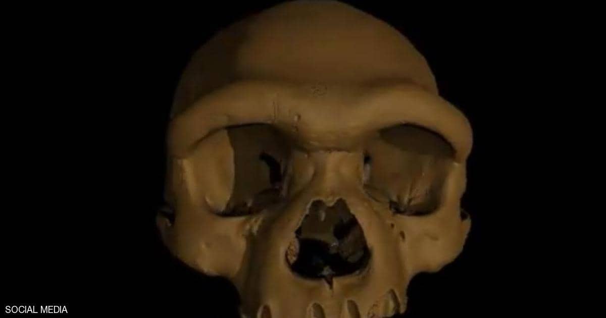 "الإنسان التنين".. جمجمة قد تعيد كتابة قصة التطور البشري