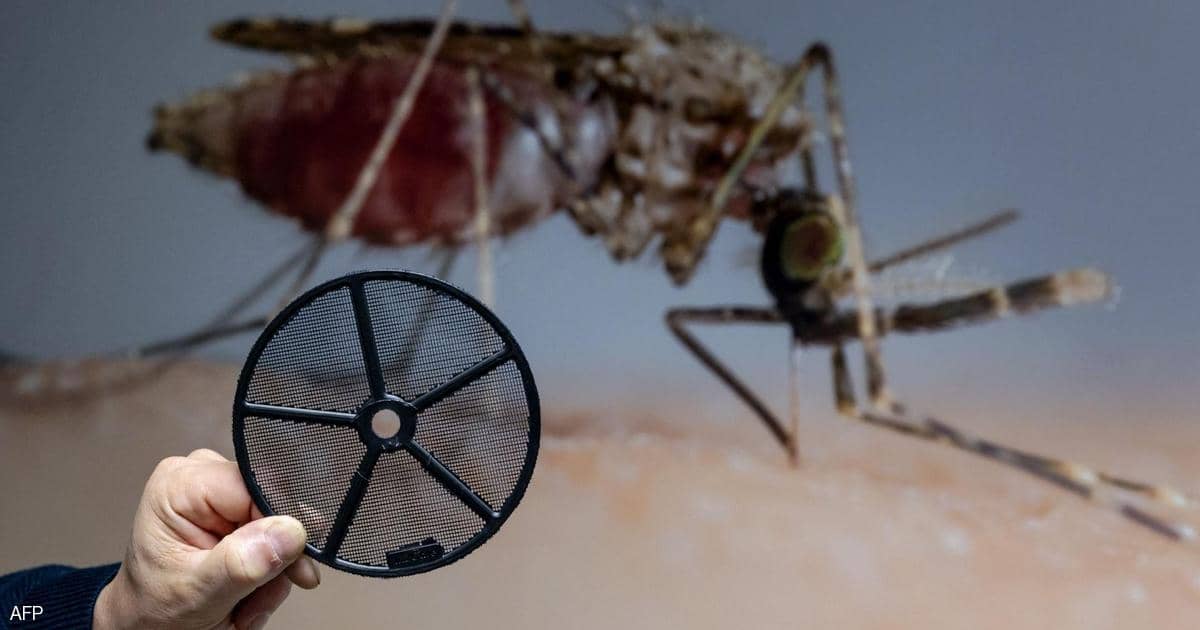 بعد 7 عقود.. الصين تعلن إنهاء الحرب على الملاريا