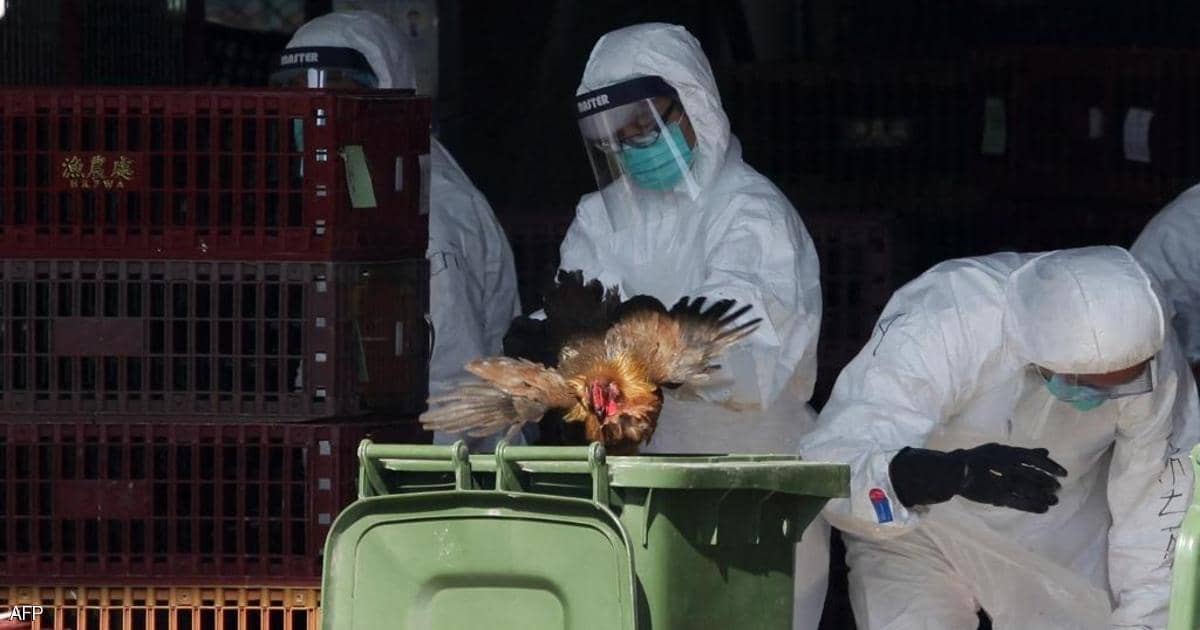 الصين تعلن تسجيل إصابة بشرية بإنفلونزا الطيور