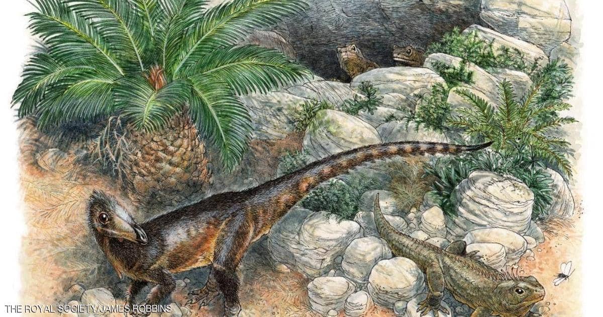 بحجم دجاجة.. علماء بريطانيون يكتشفون "الديناصور الغريب"