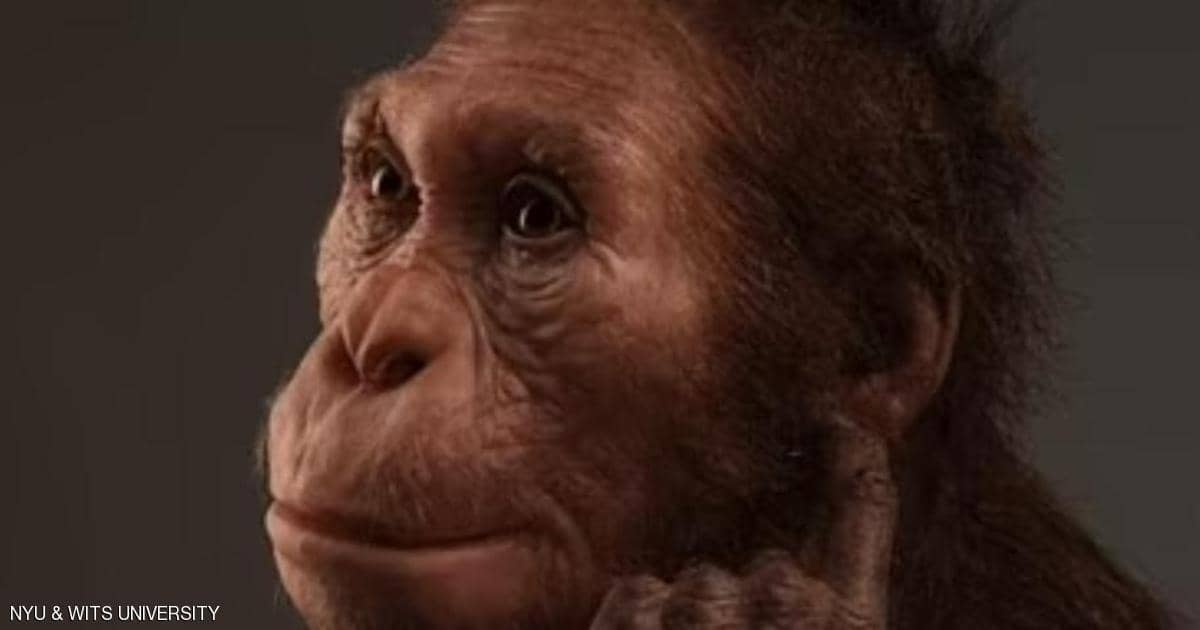 إنسان عاش قبل مليوني عام.. "حلقة مفقودة" تكشف معلومة مهمة