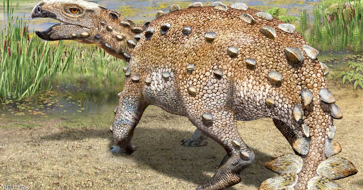 اكتشاف ديناصور مدرع كان يرهب الخصوم بذيل مدبب