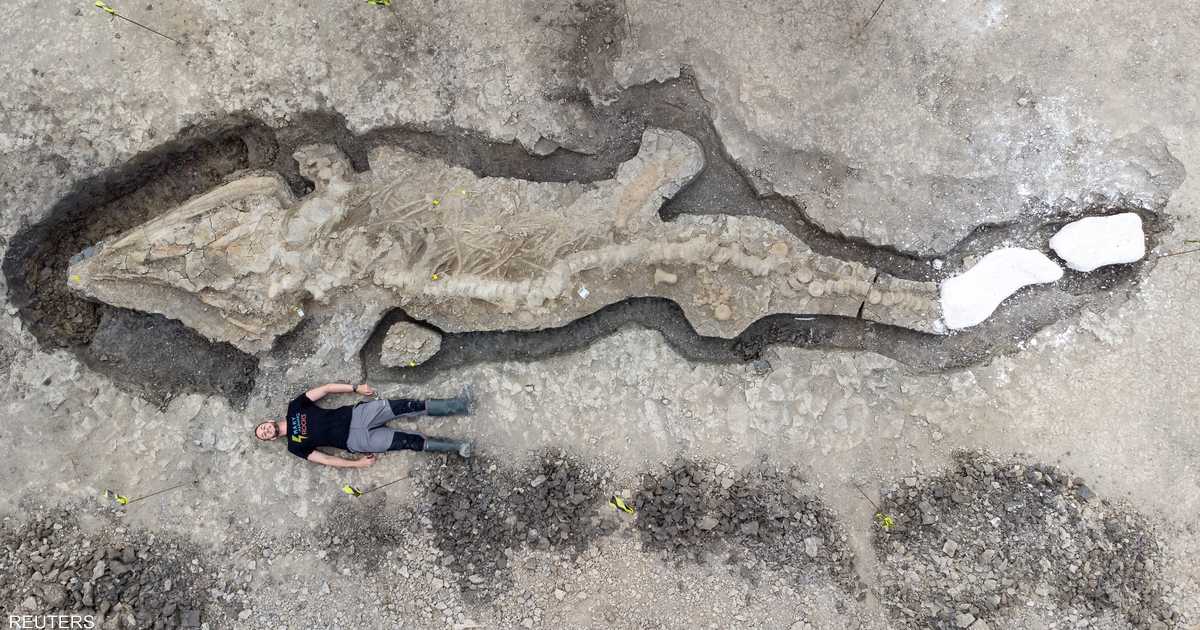 بحجم هائل.. اكتشاف حفرية حيوان مفترس عاش قبل ملايين السنين