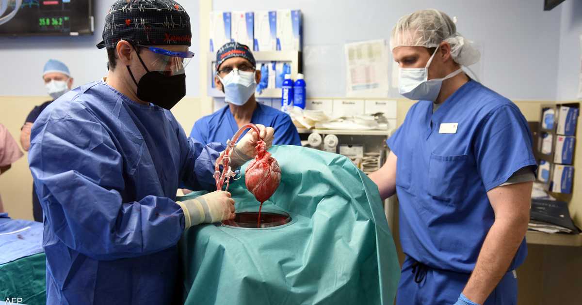 "سكاي نيوز عربية" تحاور جراح زراعة قلب الخنزير في الإنسان