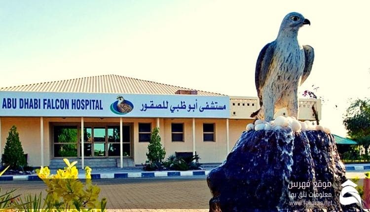 مستشفى الصقور في أبو ظبي