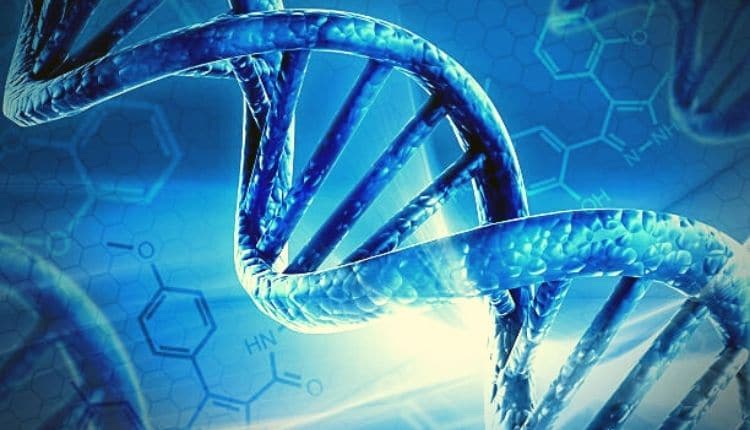 الروابط الهيدروجنية في DNA