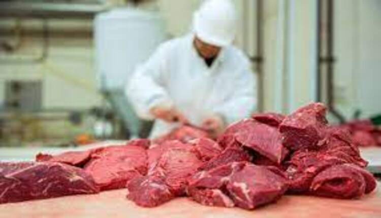 تكاليف مشروع اللحوم بتركيا