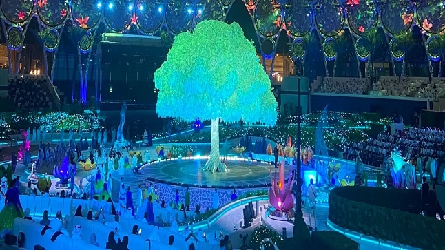 المظهر العام