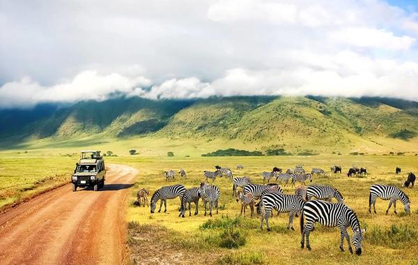 أشهر العناوين السياحية الجديرة بالزيارة في تنزانيا
