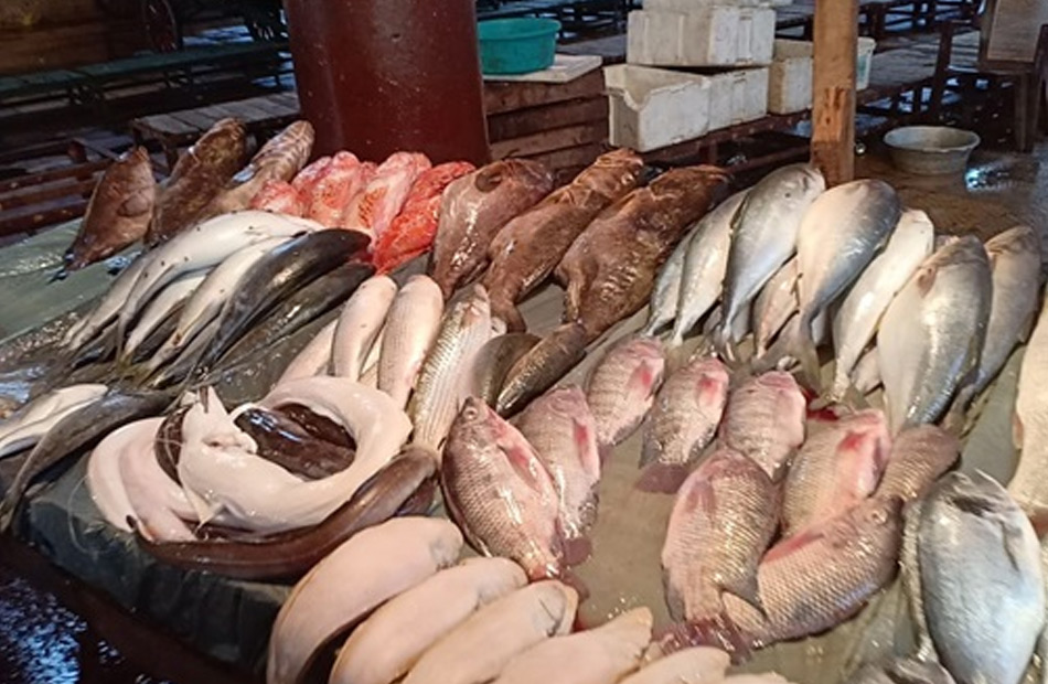 سعر السمك في مصر اليوم السبت 25-6-2022 كم يبلغ سعر كيلو سمك سلمون اليوم