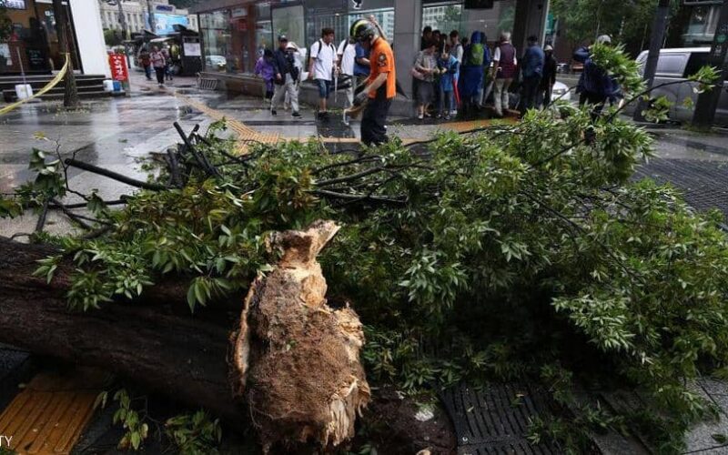 إعصار “لينغ لينغ” يسفر عن خمسة قتلى وعدد من الجرحى في الكوريتين