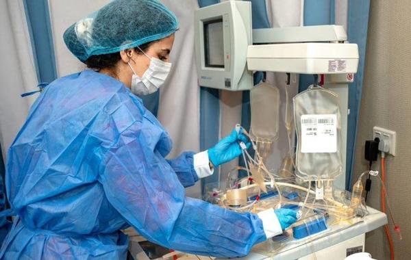 الإمارات تنتج علاجاً بالخلايا التائية محلياً في تجربة هي الأولى من نوعها