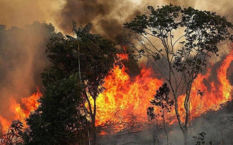 غابات الأمازون تلتهمها النيران واهمال في اخماد الحرائق