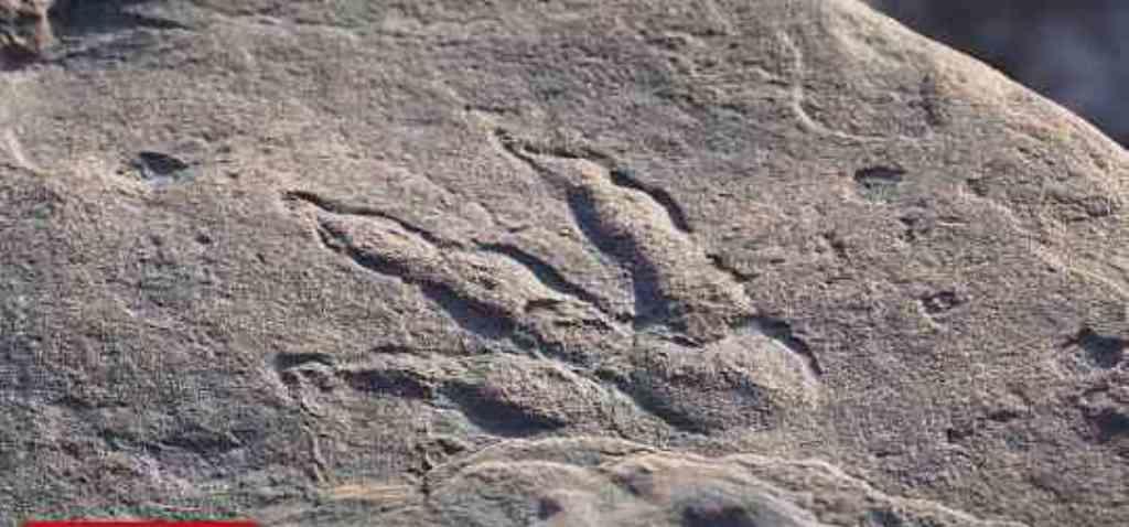 طفلة تعثر على بصمة عمرها  220 مليون عاماً ظل العلماء يبحثون عنها طويلاً