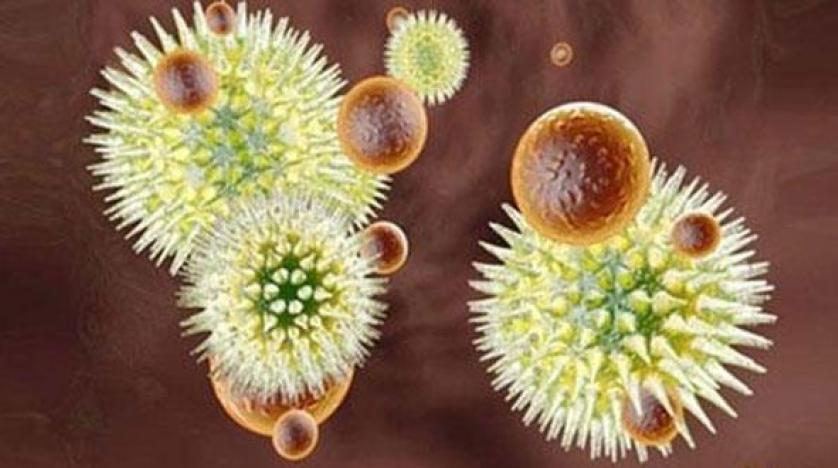 الصحة العالمية تحذر من فيروس مميت سيتفشى في أفريقيا