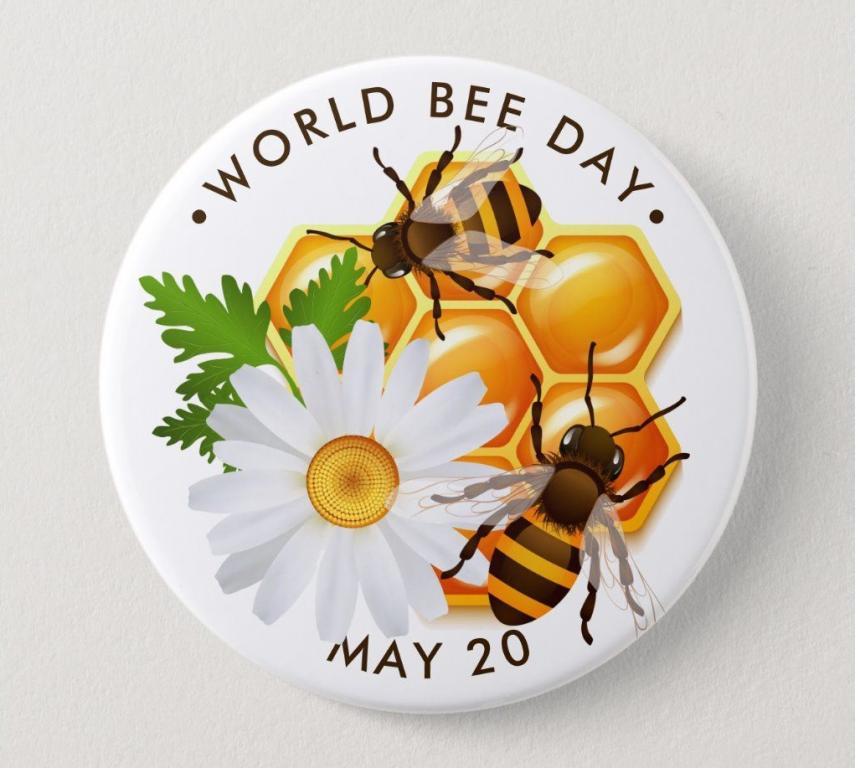 في يوم النحل العالمي.. 5 آلاف طن عسل سعودي يغزو الأسواق وجهود لتطوير الإنتاج
