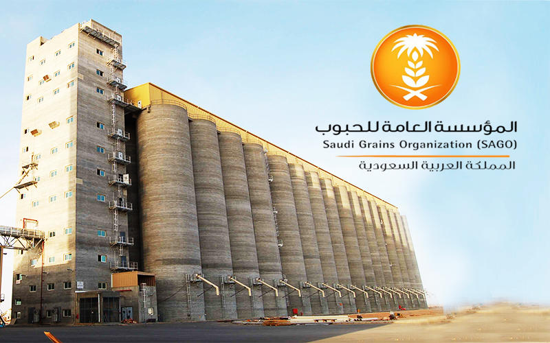 مؤسسة الحبوب السعودية تصدر توضيحًا حول الشعير ومنصة استيراد