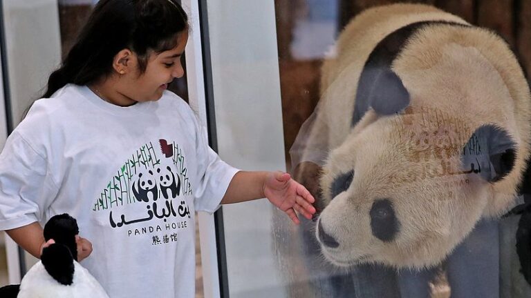 موقع حجز تذاكر بيت الباندا قطر لمشاهدة سهيل وثريا mm.gov.qa