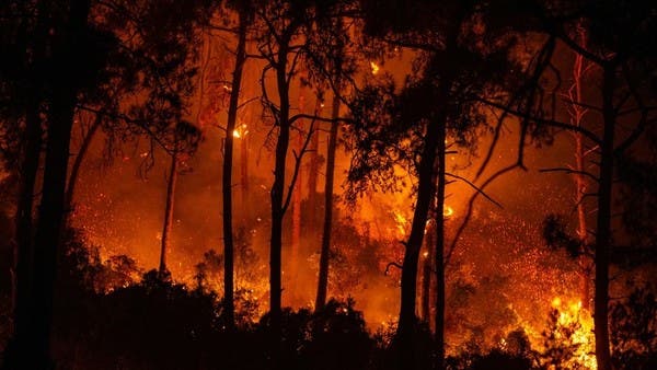 تركيا: السيطرة على كافة حرائق الغابات في البلاد عدا موقعين