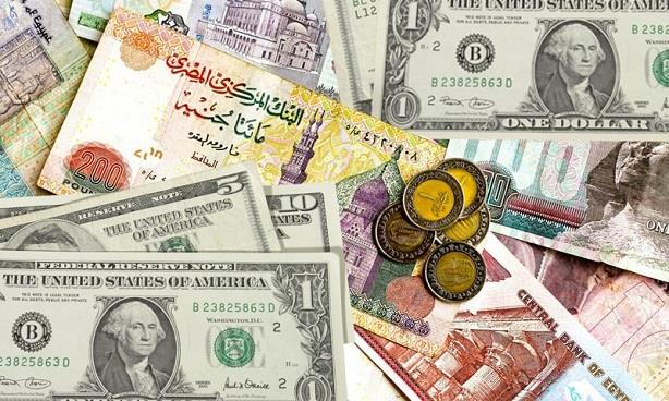 سعر الدولار اليوم في البنوك المصرية مقابل الجنيه