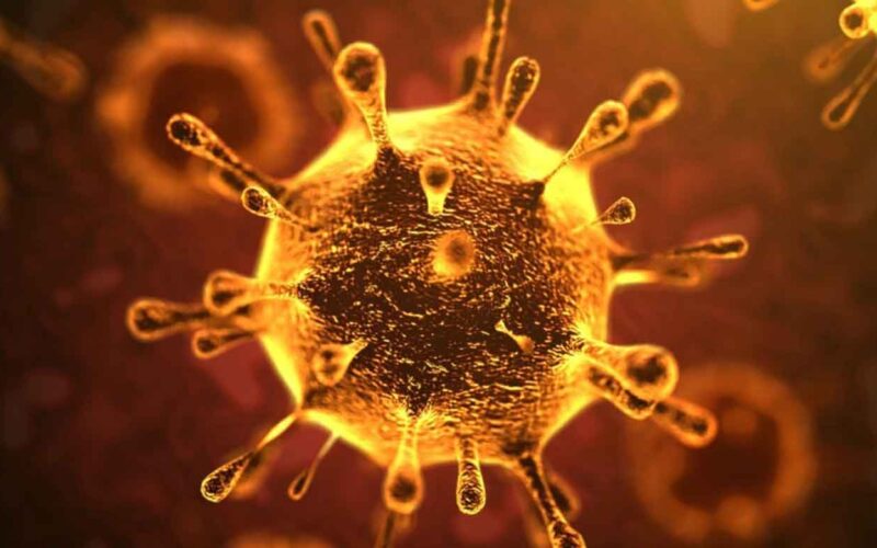 فيروس كورونا الجديد.. اعراضه..الوقاية منه