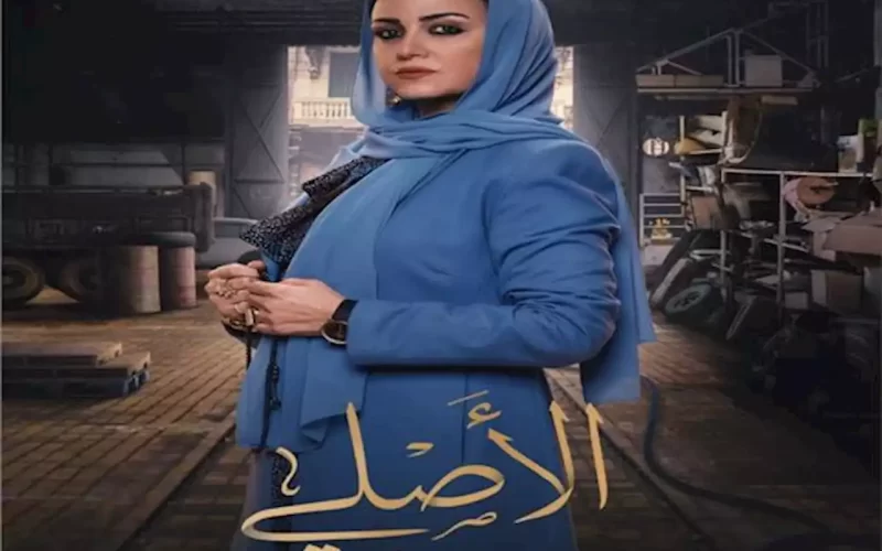 أوقات عرض مسلسل الأصلي ريهام عبد الغفور والقنوات الناقلة