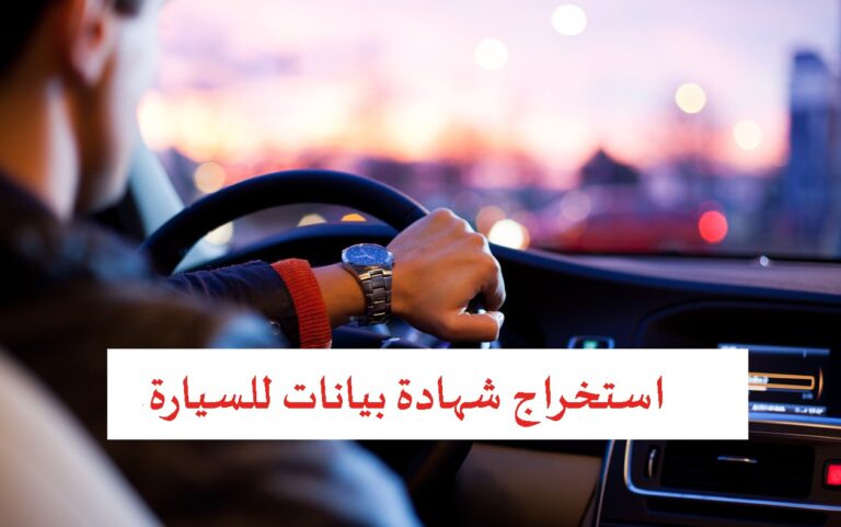 إجراءات استخراج شهادة بيانات رخص القيادة في مصر