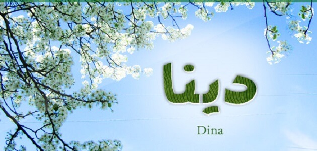 معنى اسم دينا Dina وأسرار شخصيتها وصفاتها
