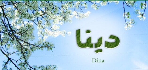  Dina 