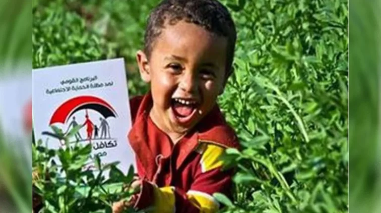 الخطوات والأوراق المطلوبة للحصول على معاش الطفل 2023
