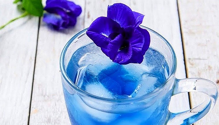 الشاي الأزرق زهرة البازلاء