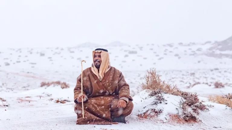 تاريخ بداية موسم العقارب في السعودية ومتى ينتهي وسبب تسميته
