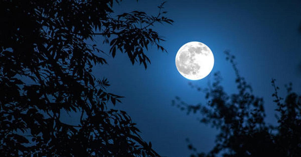 جواب سؤال القمر لا يضيء بنفسه لكننا في الليل نراه يشع نور .. تعليل السبب
