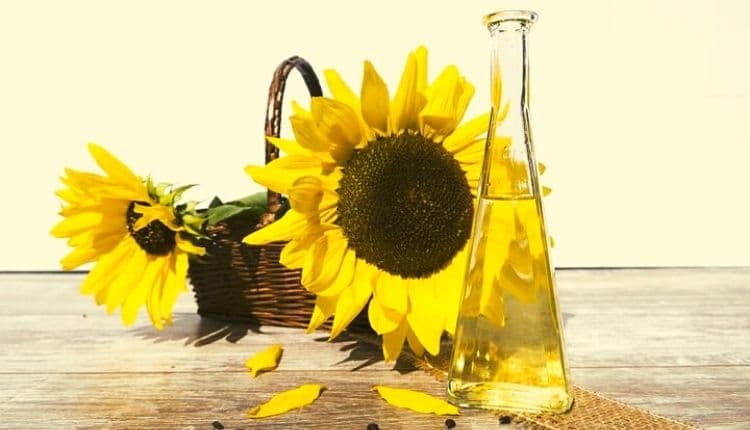 زيت دوار الشمس للطبخ