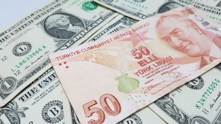 سعر-الدولار-في-تركيا-اليوم-