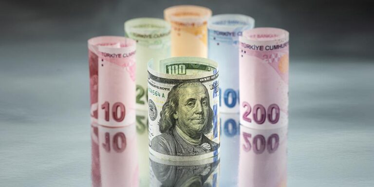سعر صرف الدولار مقابل الليرة التركية