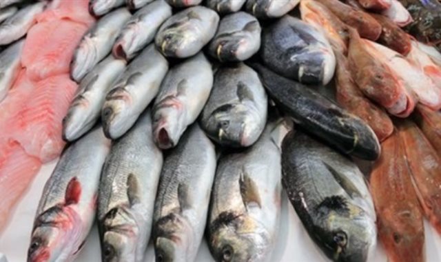 سعر السمك في مصر 