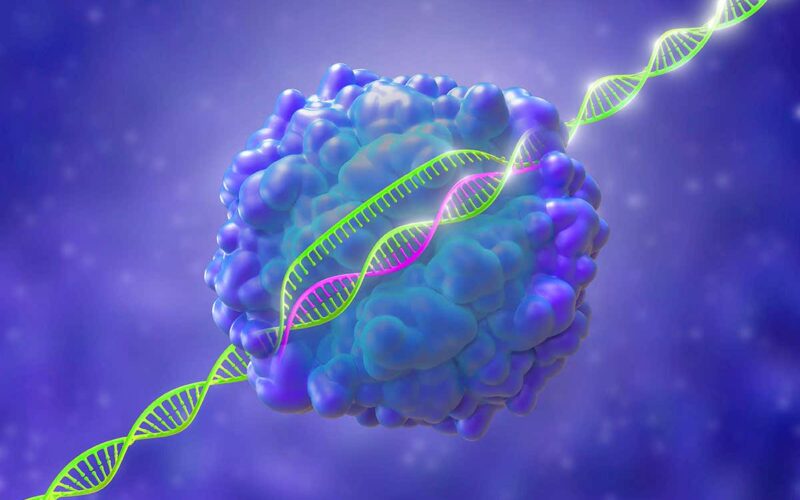 اكتشاف تقنية كريسبر CRISPR للتعديل الجيني
