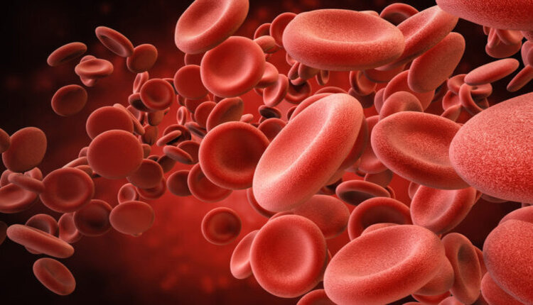 فقر الدم ضخم الأرومات الناتج عن نقص فيتامين ب12 أو حمض الفوليك