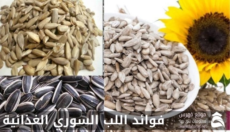 فوائد اللب السوري الغذائية