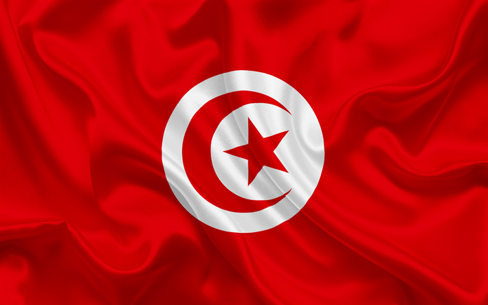 كيفية إنشاء شركة استيراد وتصدير في تونس