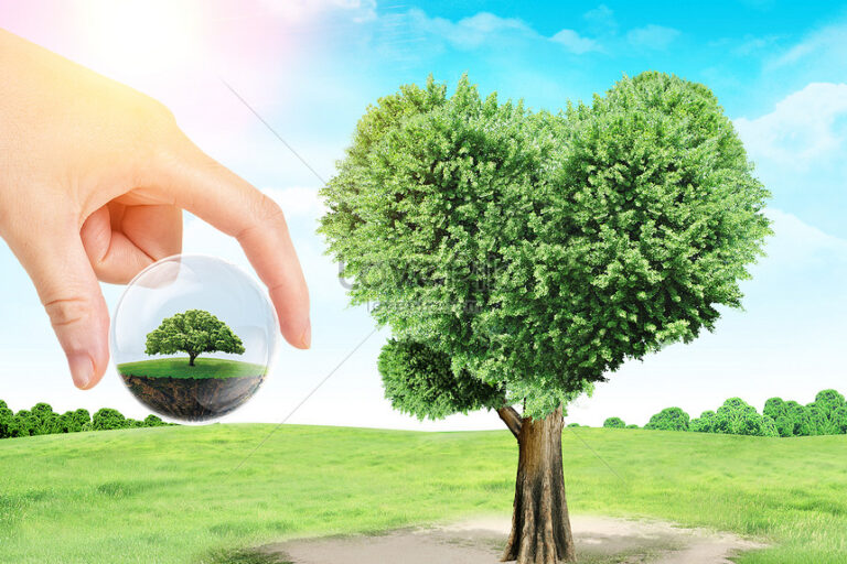 ما هو يوم التخضير في الكويت وموعد الاحتفال به 2022