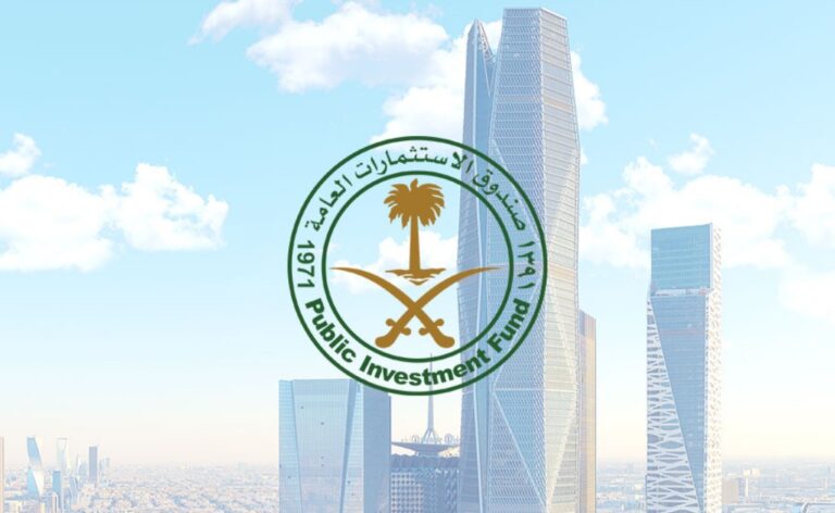 شركات صندوق الاستثمارات العامة PDF